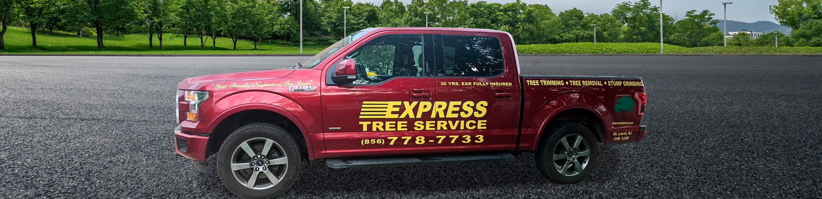 South Jersey Tree Service Company Launches Website