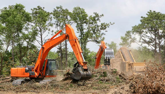 Land Clearing