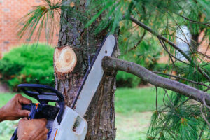 Oaklyn Tree Service